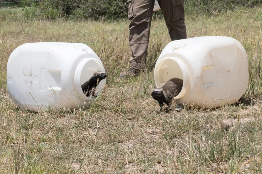 WhatsApp Image 2025-11-26 at 12.01.54